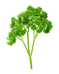 Leaves of parsley isolated on white background. Top view