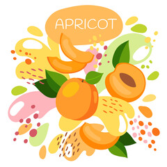 vector illustration of an organic fruit drink. ripe apricot fruits with splash of bright fresh apricot juice background. eco concept for a natural fruit smoothie label.