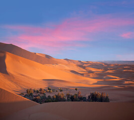 Fototapeta na wymiar Green oasis over sand dunes in Erg Chebbi of Sahara desert on sunset time in Morocco, North Africa