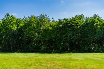 green field and blue sky