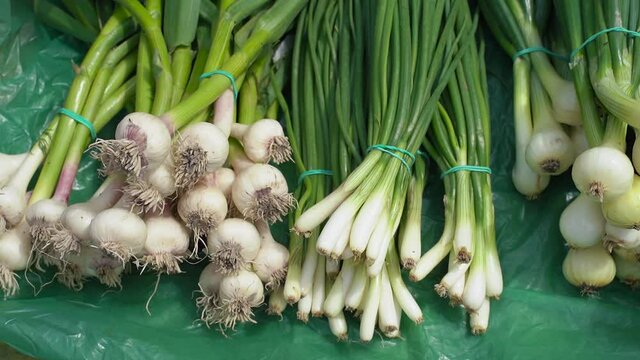 bunches of young spring green onions and garlic in the street market
