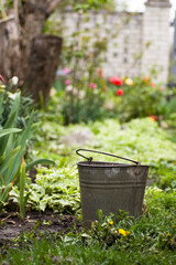 Metal bucket near the path in the garden