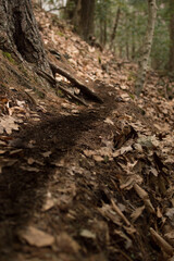 Fototapeta na wymiar A narrow hiking path on a steep bank