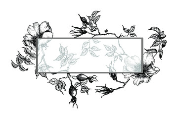 Seasonal vector rose hip flowers wreath design. Hand drawn blooming flowers, blossoms, petals, stems, leaves. Floral clip art, wedding, invitation, greeting, quote, bridal template, rectangular frame