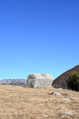 Medieval tombstones in necropolis found near Sarajevo