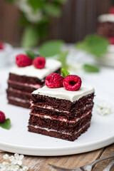 Vegan chocolate cake with raspberry 