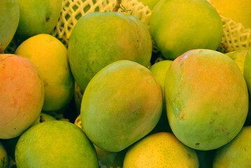 Piles of ripe mangoes on display for sale.