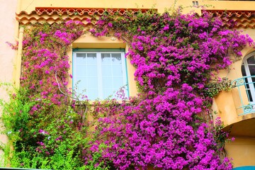 Street in Bormes les Mimosas, France