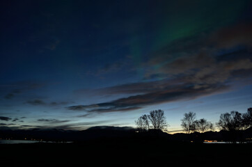 faint aurora borealis dancing over fjord and trees