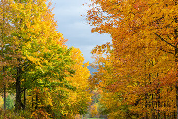Autumn in Canada