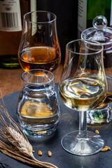 Scotch single malt and blended whisky tasting on distillery in Scotland