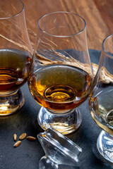Scotch single malt and blended whisky tasting on distillery in Scotland