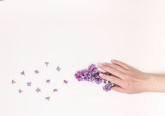 Concept of hand care, anti-wrinkle, anti-aging cream, Spa. Beautiful female hands with lilac flowers on a white background, top view, free space for text.