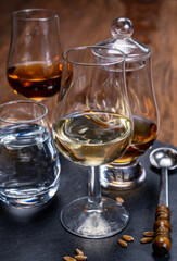 Scotch single malt and blended whisky tasting on distillery in Scotland