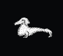 Dachshund. Children's engraving. Cartoon vector illustration