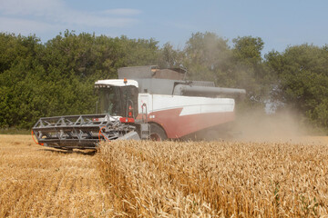 Combine harvester working in a very wide wheat field