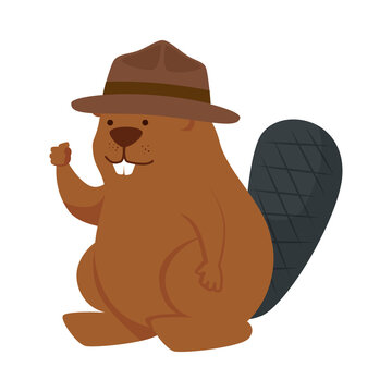 Cute beaver cartoon with hat design, Animal zoo life nature and character theme Vector illustration