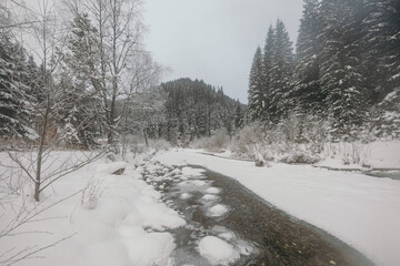 A path with trees on the side of a snow covered slope