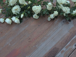 snow-white flowers of a white rose on a wooden background.