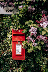 English red postbox and street signs covered by beautiful purple flowers and green leaves