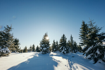 A man riding skis down a snow covered slope