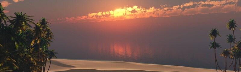 Beautiful sunset over a tropical beach with palm trees