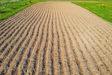 View of the plowed fields in the spring for growing crops - potatoes, corn, wheat.