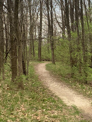 The road less traveled 