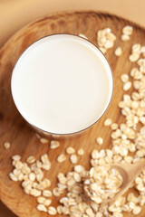 Vegan oat milk, non dairy alternative milk in a glass. Vegan non dairy alternative milk. Oat flakes milk. Copy space