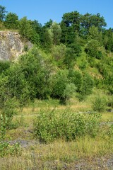 Overgrown old quarry. Moravia. Czechia. Europe.