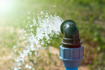 bright lighting. equipped well under water. Their PVC pipe is blue. Close-up