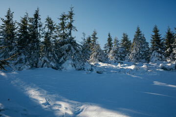 A close up of a snow covered slope