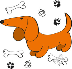 Cute dachshund dog with a set of tracks and bones. Vector cartoon illustration, free on a white background.