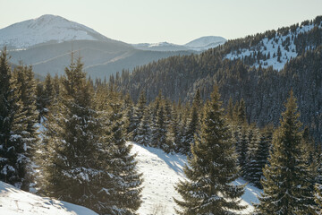 A man riding skis down a snow covered mountain