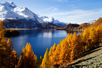 Naklejka premium autumn in the mountains