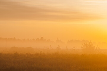 Misty dawn in the field. The fog and the clearing are illuminated by the morning sun.