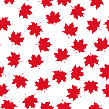Red maple leaves on white background Canadian seamless pattern. Canada Day background. Vector template for Canadian holiday party invitation, greeting card, flyer, fabric, textile, etc