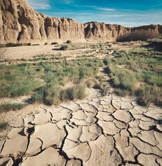 Cracks in the dry soil.