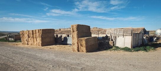 Bales of straw on the farm