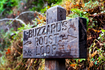 Buzzard's Roost Loop Trail Walk