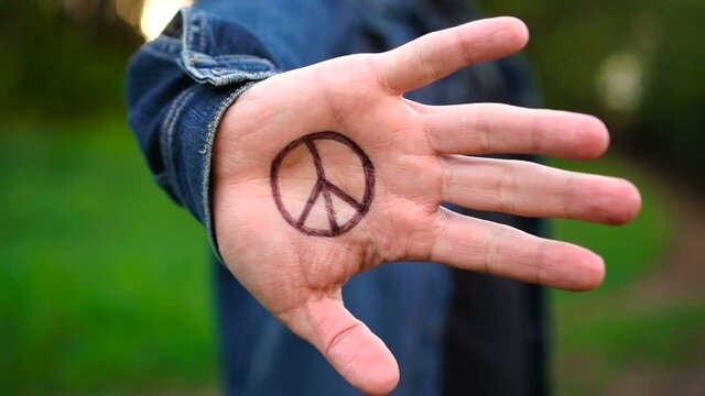 Hand with the peace symbol y on the palm