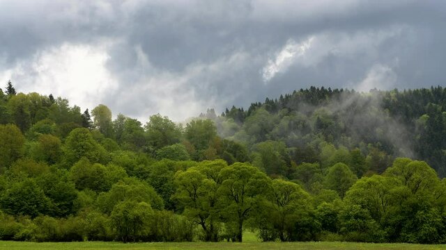 Outstanding panoramic view of Carpathian forest and mountains Bieszczady Poland.