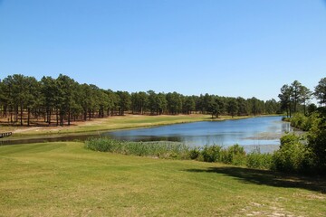 Green grass landscape with a small lake surrounded by a pine tree wooded area - 357060517