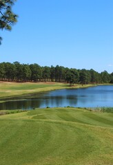 Green grass landscape with a small lake surrounded by a pine tree wooded area - 357060912