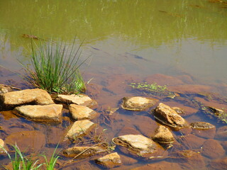 river on the rocks