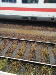 Bahn