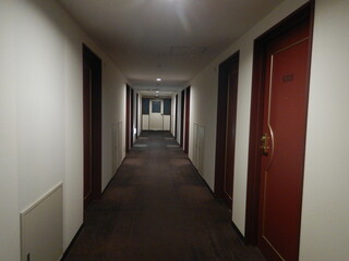 Fototapeta premium hotel corridor