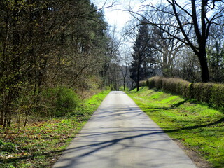path in the park