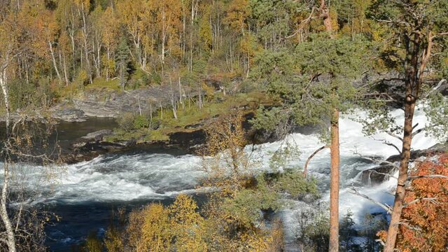 fast flowing river in autumn