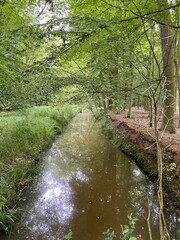Kanal in einem Wald